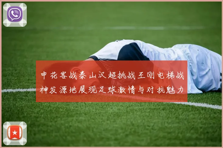 申花客战泰山汉超挑战王刚电梯战神发源地展现足球激情与对抗魅力